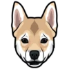 Sam 8