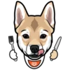 Sam 9