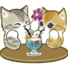 Lindos Gatitos💞1🇵🇪Clásica 18