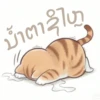 Busy Working Life of Mr. Orange Cat 12