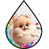 Perritos Tiernos ✺6🇻🇪 8