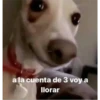 Mais adesivos tristes 9