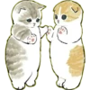 Lindos Gatitos💞1🇵🇪Clásica 19