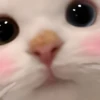 UwU 9