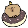 Capybara - Random Working Day V2 15