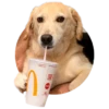 500 ml