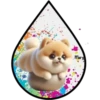 Perritos Tiernos ✺6🇻🇪 9