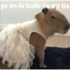 yo en la boda de mi tia