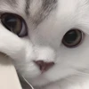 UwU 10