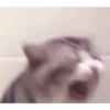 Ahhhh! 8