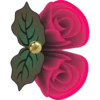 Flores e rosas 1 🌹 12