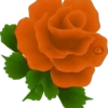 Flores e rosas 1 🌹 13