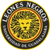 LEONE NEGROS IVERSIDAD DE GUADALAJA