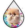 Perritos Tiernos ✺6🇻🇪 11