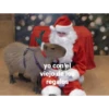 yo con el viejo de los regalos