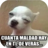 CUANTA MALDAD HAY EN TI, DE VERAS...