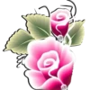 Flores e rosas 1 🌹 14