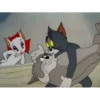Tom's reactions. 15