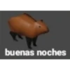 buenas noches