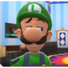 Luigi Reactions 10