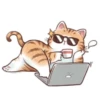 Busy Working Life of Mr. Orange Cat 17