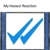 My Honest Reaction