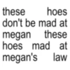 these hoes don't be mad at megan these hoes mad at megan's law