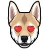 Sam 12