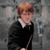 Harry potter от 13
