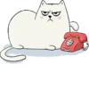 Fat Cat 9