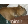 a mimir