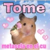 Tome @kawaiiposting metasela en el cu