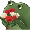 2 🐸 EmOtE RaNa  🐸 13