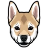 Sam 14