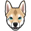 Sam 15