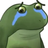 3 🐸 EmOtE RaNa 🐸 13
