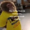 Hoy no hay frase de motivación, si te quieres rendir ríndete MOUJO PLAY FOLLOW