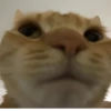UwU 11