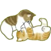 Lindos Gatitos💞1🇵🇪Clásica 22