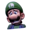 Luigi Reactions 12