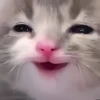 UwU 12