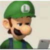 Luigi Reactions 13