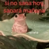 si no sana hoy sanará mañana -la rana