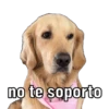 no te soporto
