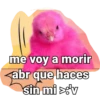 Decepcion 21