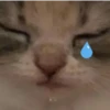 Triste 2 19