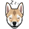 Sam 22