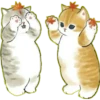 Lindos Gatitos💞1🇵🇪Clásica 25