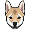 Sam 23