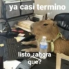 ya casi termino listo, zahora que?